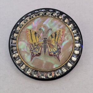 Large Antique Early 1900's Abalone MOP Butterfly Resin Domed Button